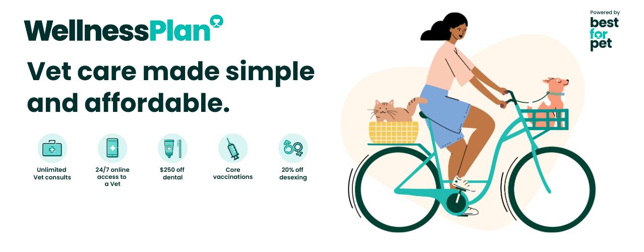 Wellness Plan - Vet care made simple and affordable
